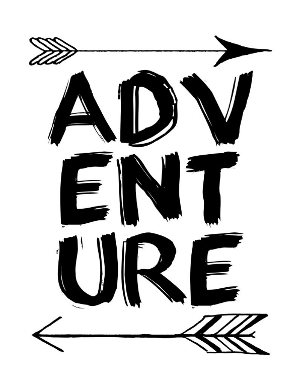 Picture of ADVENTURE 2