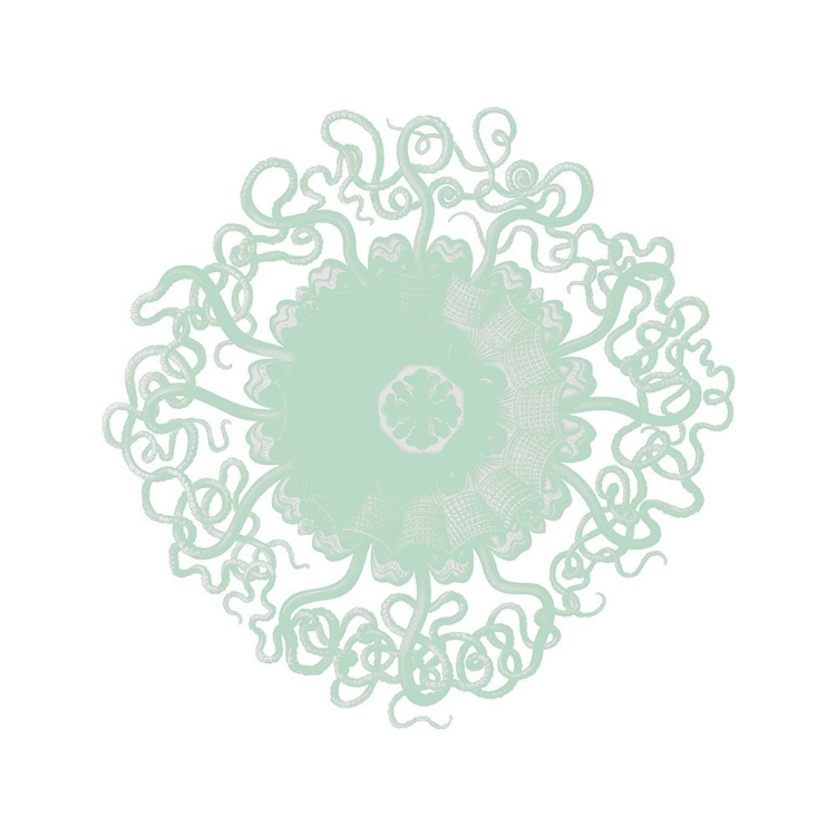 Picture of MINT SPIRALS 2