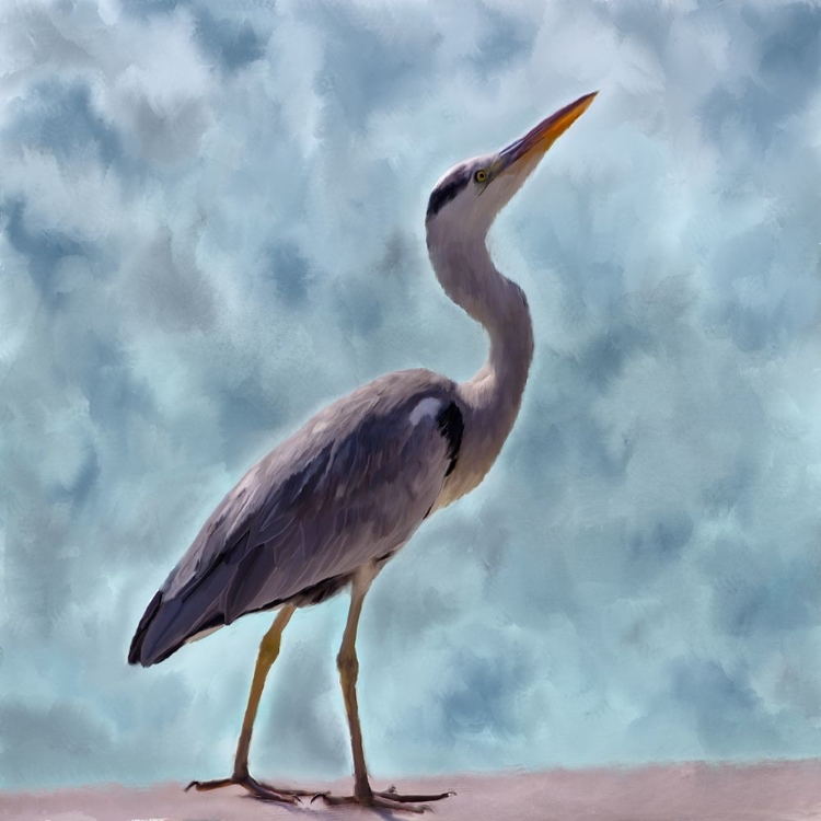 Picture of HERON