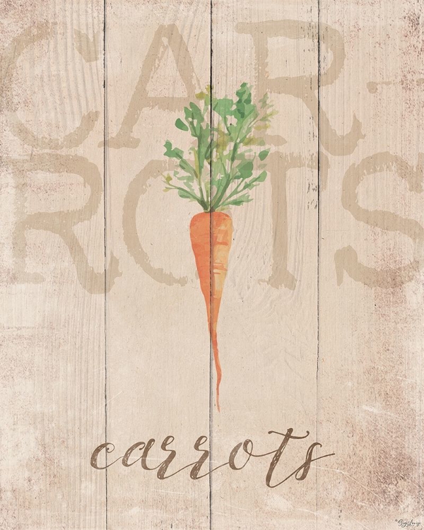 Picture of CARROTS