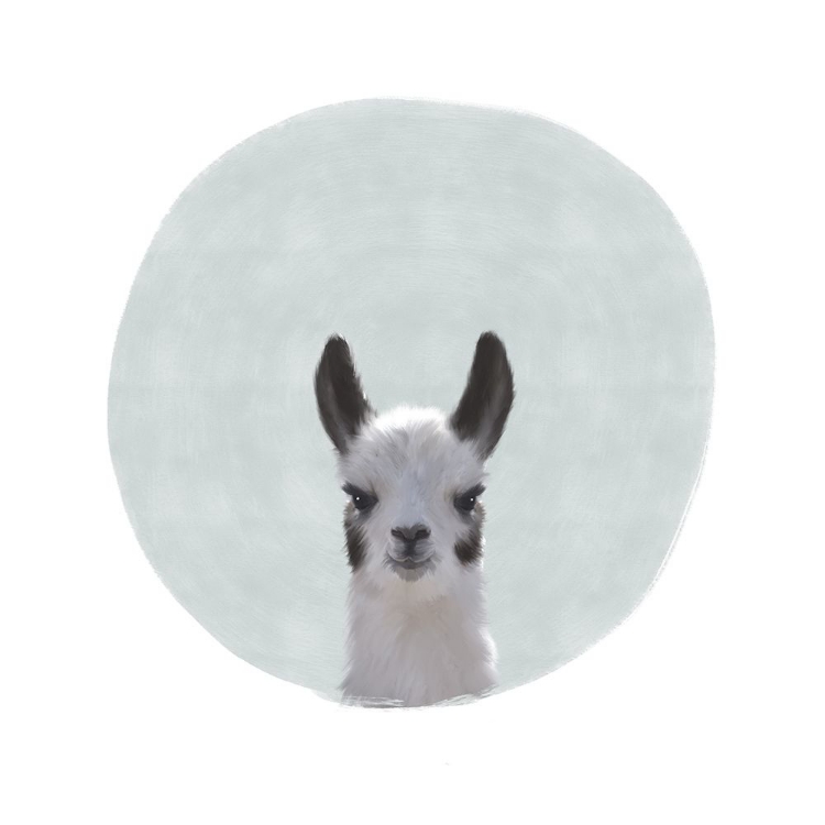 Picture of BABY CIRCLE LLAMA GRAY