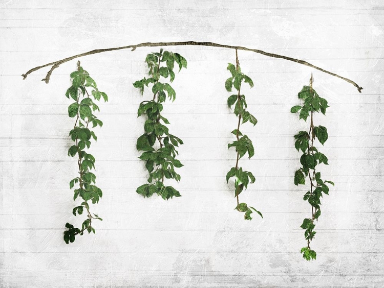 Picture of HANGING LEAVES ON WALL