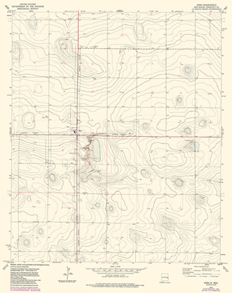 Picture of DORA NEW MEXICO QUAD - USGS 1972