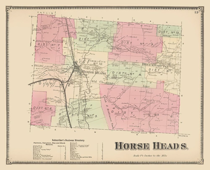 Picture of HORSE HEADS NEW YORK LANDOWNER - BEERS 1869