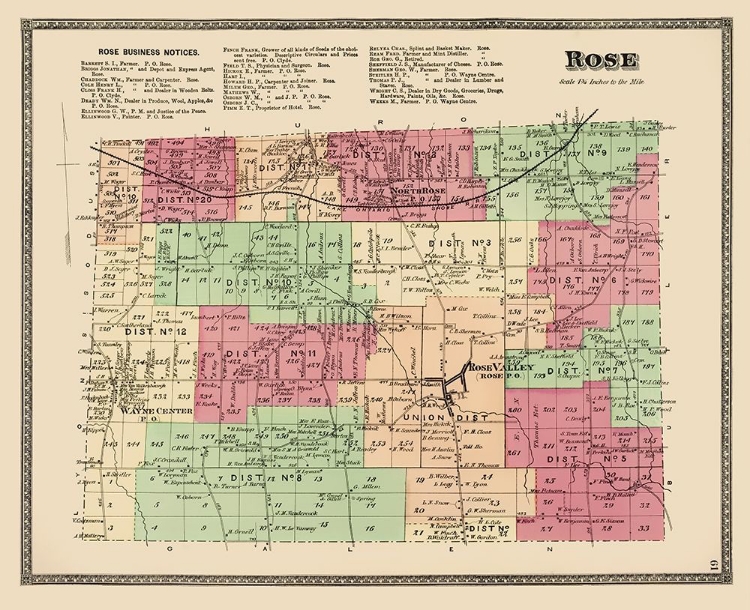 Picture of ROSE NEW YORK LANDOWNER - BEERS 1874