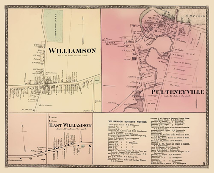 Picture of WILLIAMSON, PULTENEYVILLE NEW YORK LANDOWNER