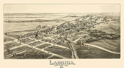 Picture of LADONIA TEXAS - FOWLER 1891