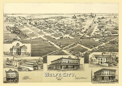 Picture of WOLFE CITY TEXAS - FOWLER 1891