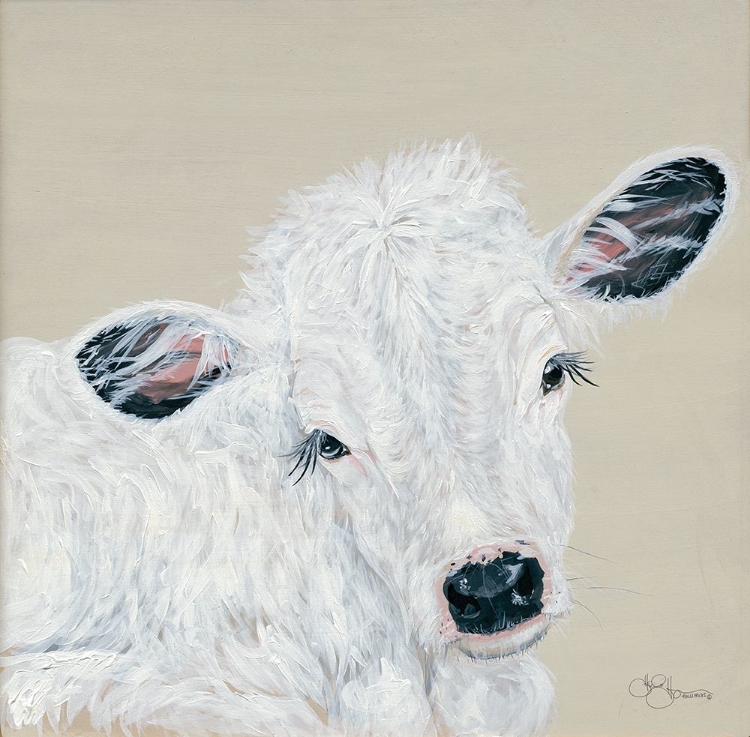 Picture of WHITE CALF