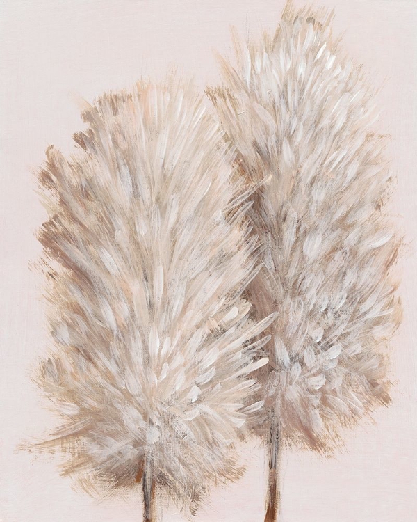 Picture of PAMPAS GRASS III