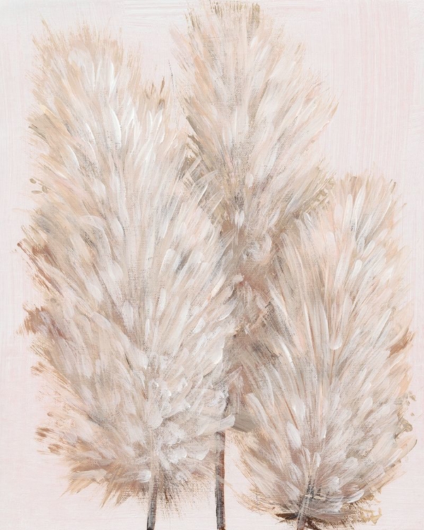 Picture of PAMPAS GRASS IV