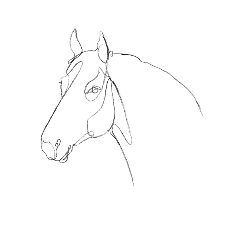 Picture of EQUINE PENCIL CONTOUR III