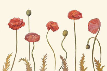 Picture of CORAL POPPY DISPLAY I