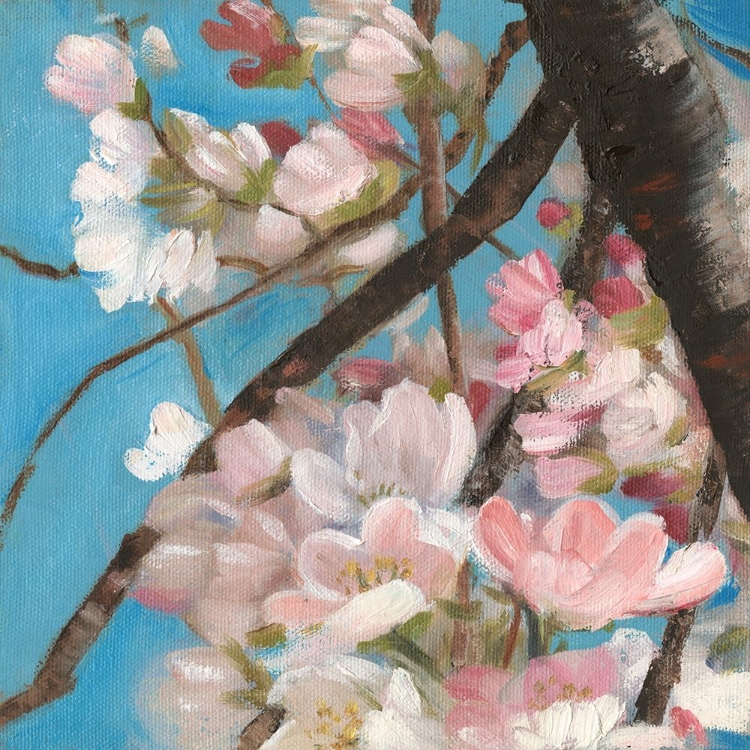 Picture of CHERRY BLOSSOMS II