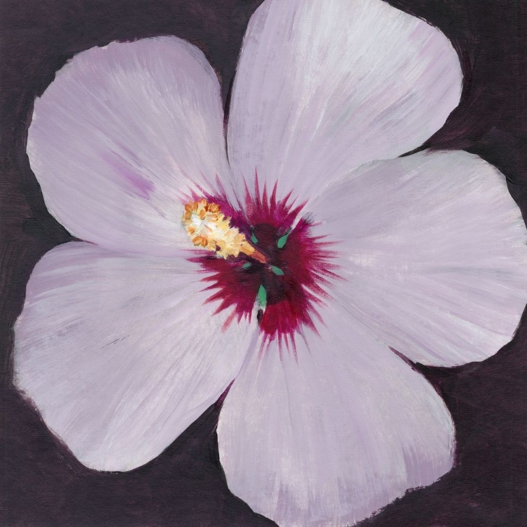 Picture of HIBISCUS PORTRAIT I