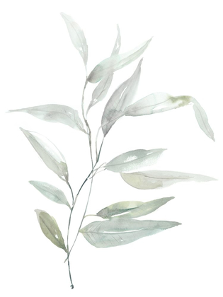 Picture of ETHEREAL EUCALYPTUS II