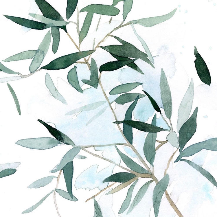 Picture of SERENE EUCALYPTUS I