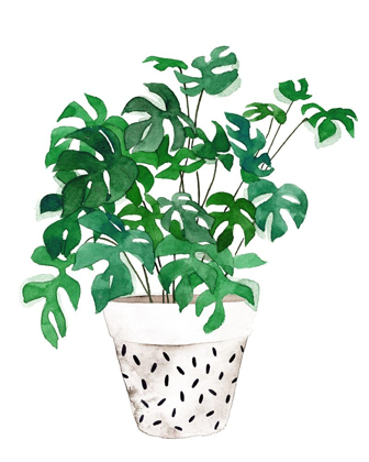 Picture of PLANT IN A POT IV