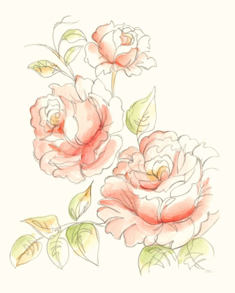 Picture of WATERCOLOR FLORAL VARIETY IV