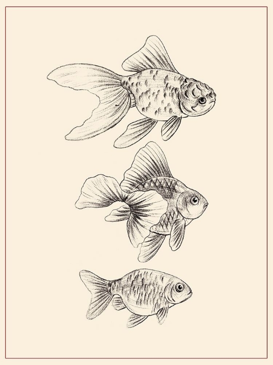 Picture of GOLDFISH III