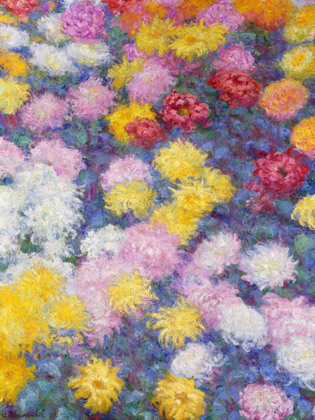 Picture of CHRYSANTHEMUMS