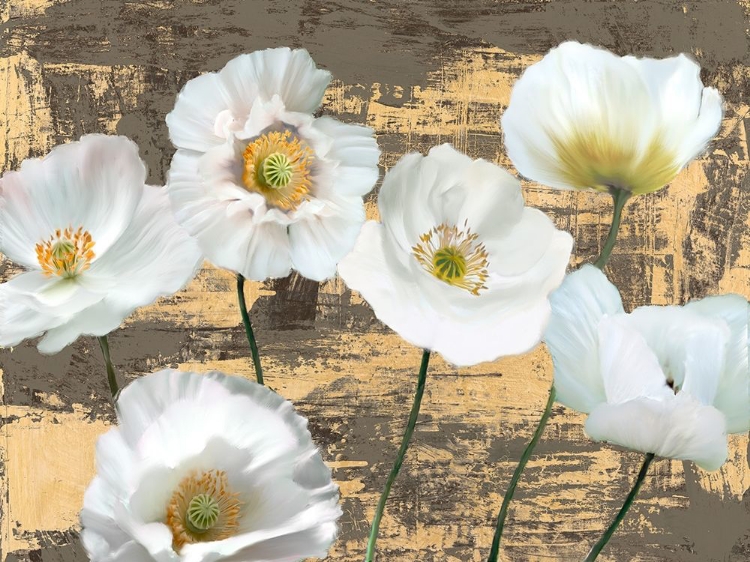 Picture of WASHED POPPIES (ASH AND GOLD)