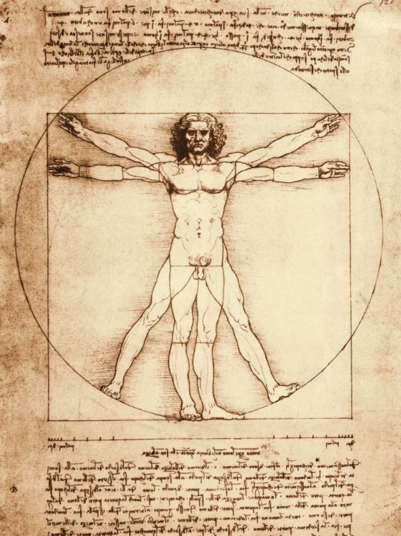 Picture of VITRUVIAN MAN