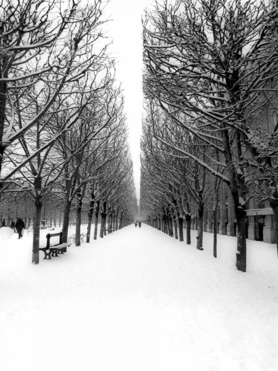 Picture of THE TUILERIES GARDEN UNDER THE SNOW, PARIS