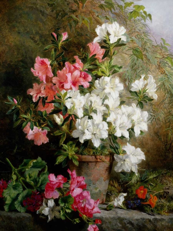 Picture of STILL LIFE OF AZALEAS