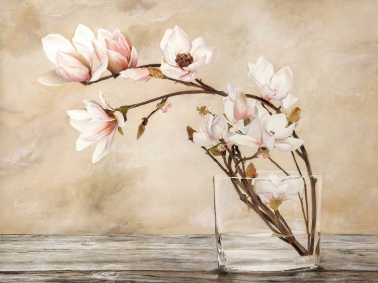 Picture of FIORI DI MAGNOLIA