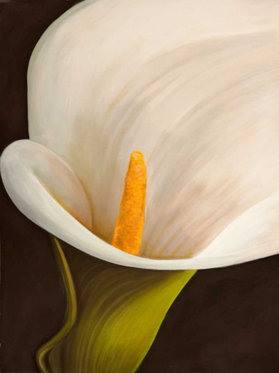 Picture of CALLA MODERNA II