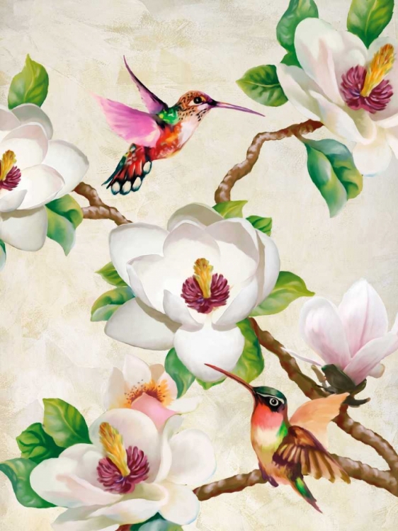 Picture of MAGNOLIA AND HUMMING BIRDS