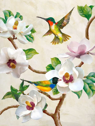 Picture of MAGNOLIA AND BIRDS