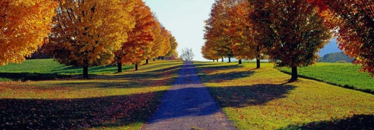 Picture of AUTUMN ROAD STORM KING MOUNTAIN NEW YORK