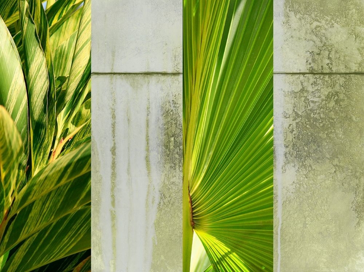 somerset-house-images-up-against-the-wall