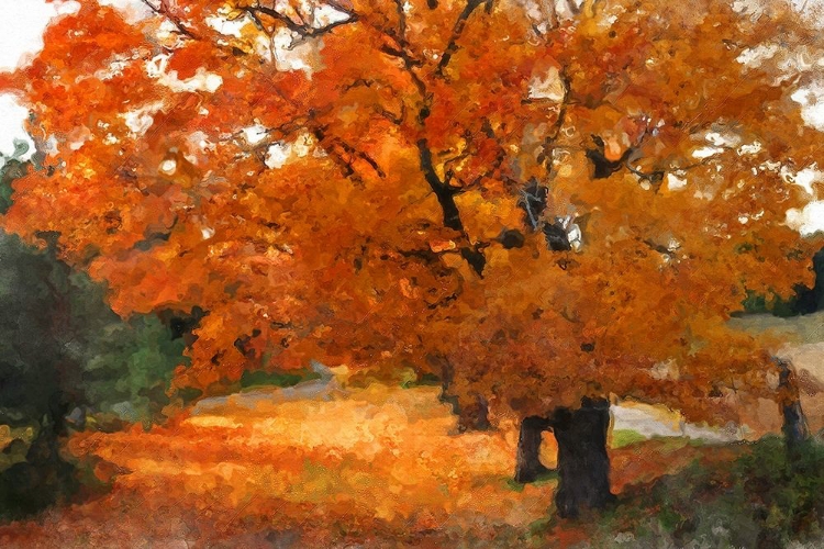 Picture of AUTUMN LANDSCAPE