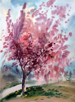 Picture of CHERRY BLOSSOMS II