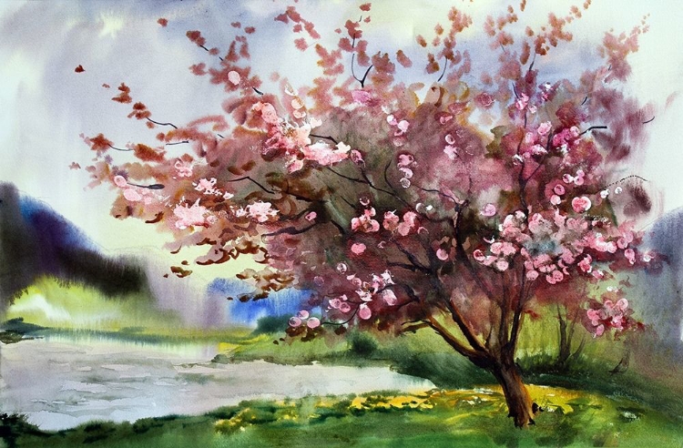 Picture of CHERRY BLOSSOMS IV