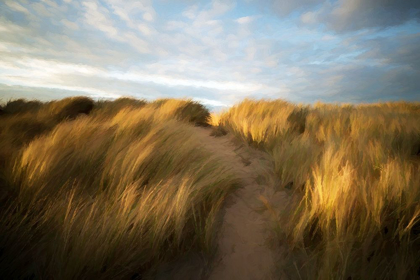 Picture of GRASSY DUNE