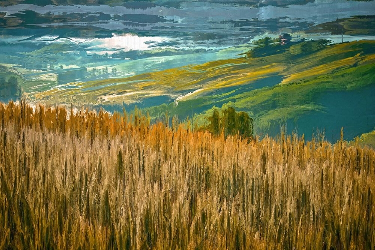 Picture of MISTY MORNING IN TUSCANY