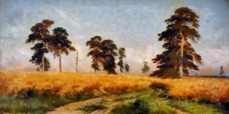 Picture of WHEAT FIELD