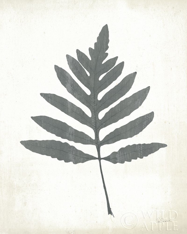 Picture of CHALKBOARD FERN I