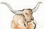 Picture of LONGHORN I