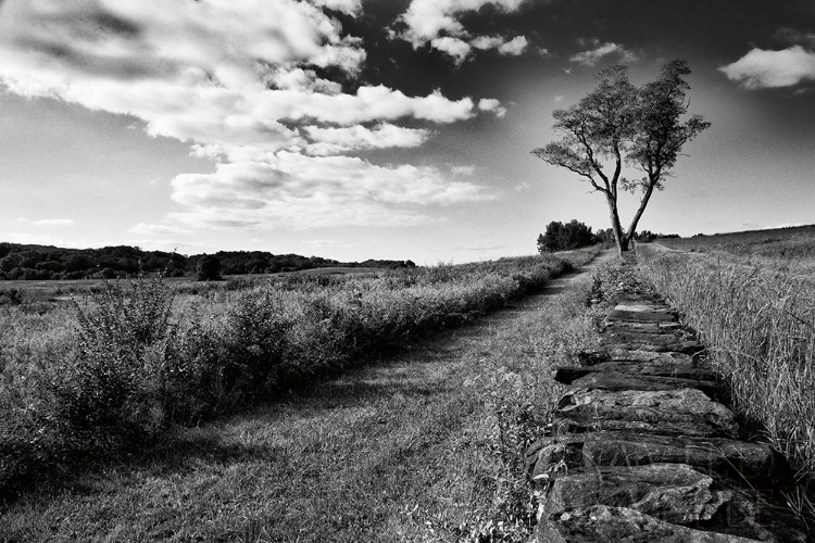 Picture of STONE WALL