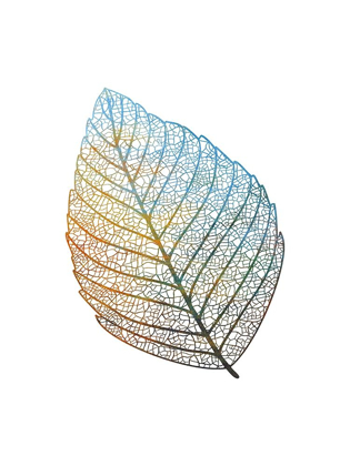 Picture of BELEAF 2