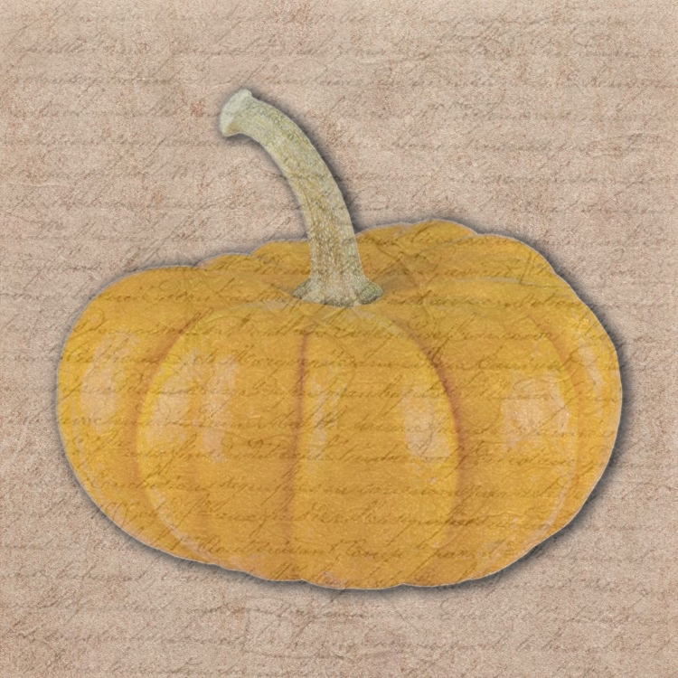 Picture of PUMPKIN