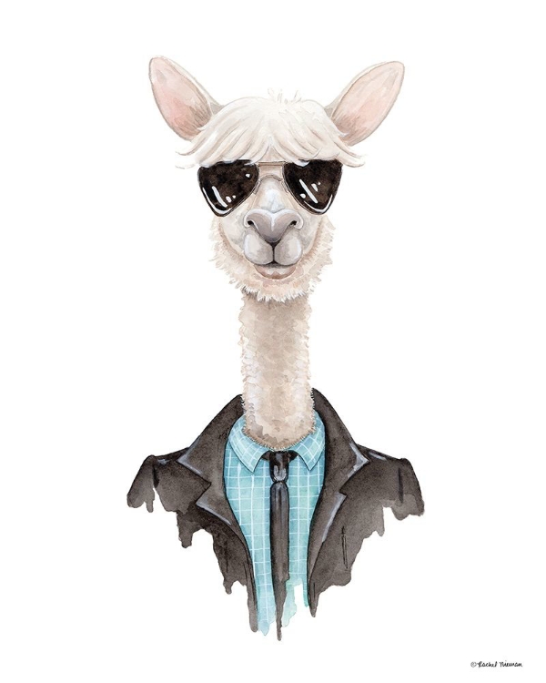 Picture of ALPACA IN AVIATORS