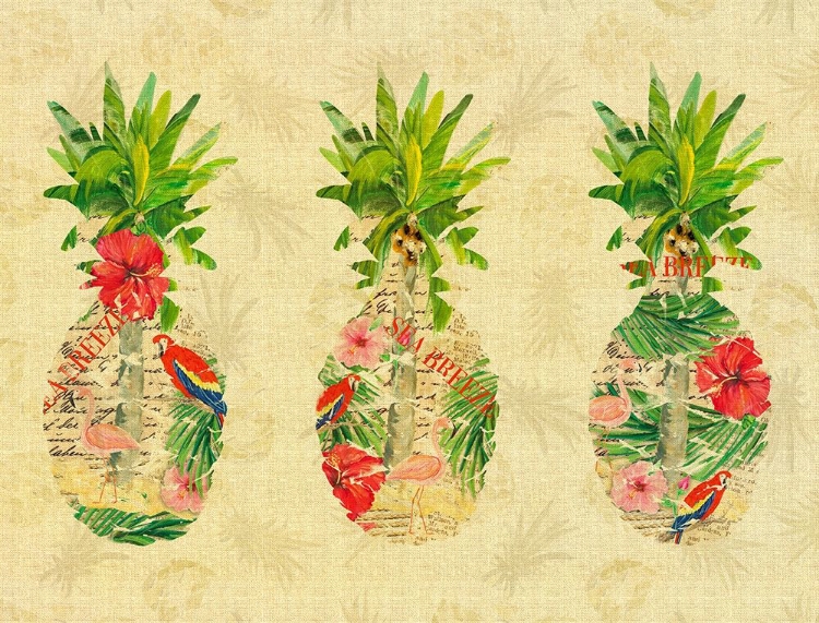 Picture of TRIPLE TROPICAL PINEAPPLE COLLAGE