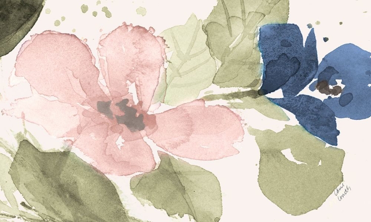 Picture of WATERCOLOR BLOOMS II