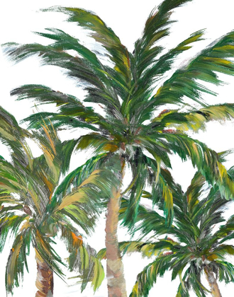 Picture of TROPICAL TREES ON WHITE III